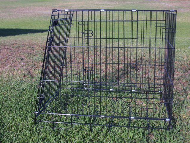 Petsmart store agility equipment